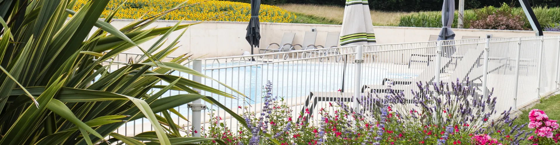 Photo de la piscine commune